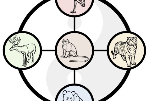 graphic with 5 animal drawings